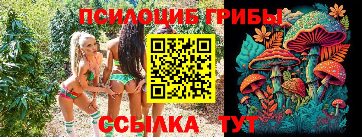 Бугульма  Псилоцибиновые грибы ЛСД  Вход с VPN  Псилоцибиновые грибы GOLDEN TEACHER 