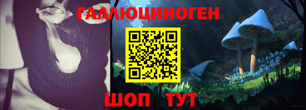 Галлюциногенные грибы GOLDEN TEACHER Бугульма
